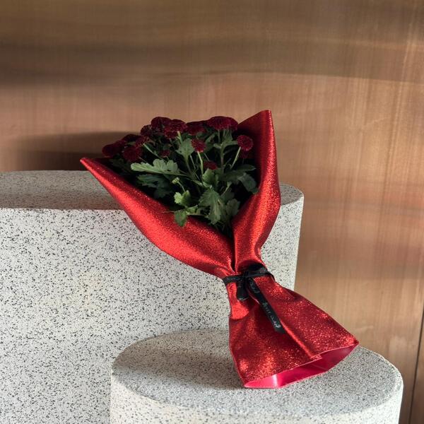 4a46c0d4_WhatsApp Image 2026-02-04 at 2.37.56 PM.jpeg